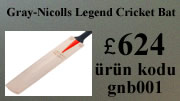 gray nicolls legend kriket sopası